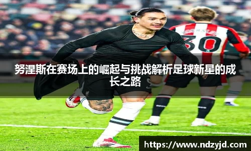 努涅斯在赛场上的崛起与挑战解析足球新星的成长之路